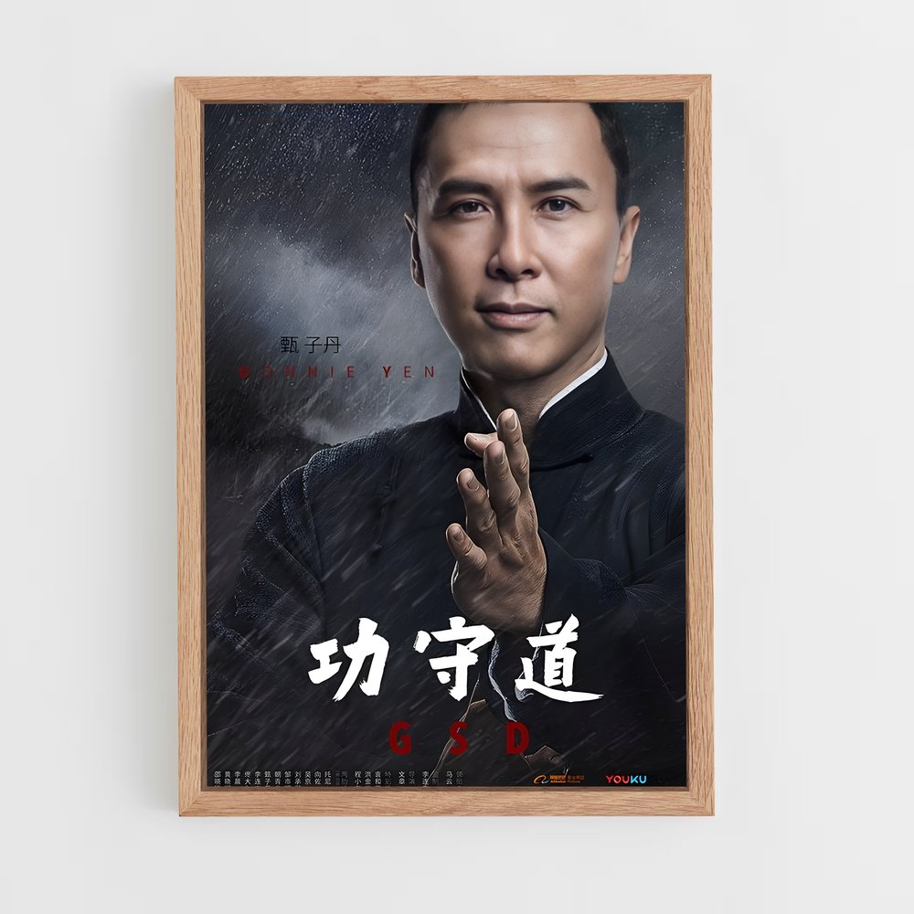 Poster L'Héritage de Ip Man – affiche Kung Fu (vue 4)